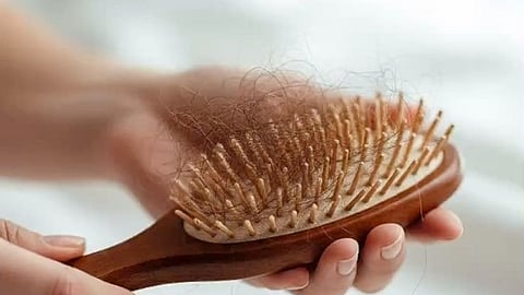 hair brush