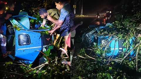 Tree falls on auto-rickshaw in Idukki