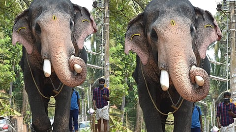 Pallattu Brahmadathan