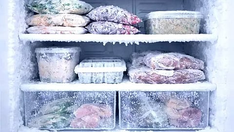 Foods in the freezer