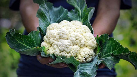 cauliflower
