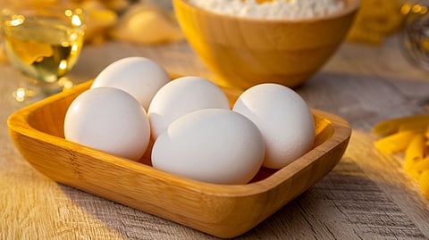 Egg Allergy