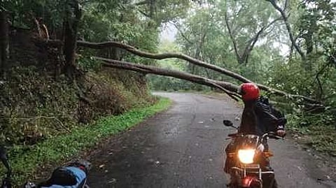 Rain Alert Tourism Restrictions
