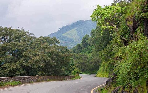 ആദിവാസി യുവതി കെഎസ്ആര്ടിസി ബസിനുള്ളില് പ്രസവിച്ചു