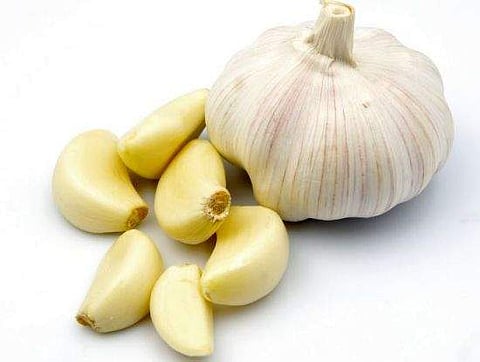 വെറും വയറ്റില് ഒരല്ലി വെളുത്തുള്ളി