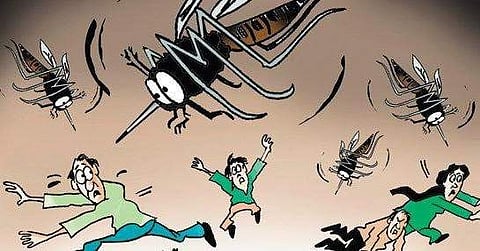സംസ്ഥാനത്ത് ഡെങ്കിപ്പനി പടര്ന്നുപിടിക്കുന്നു; ജാഗ്രതാ നിര്ദ്ദേശവുമായി ആരോഗ്യവകുപ്പ്