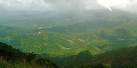 ഇടുക്കിയില് വനഭൂമി റവന്യൂഭൂമിയാക്കി മാറ്റി പട്ടയം നല്കാന് നീക്കം