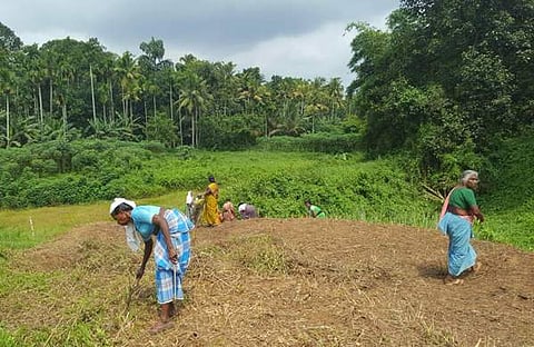 വഞ്ചിപ്പാട്ടിന്റെ താളമുയരുന്നു; വരട്ടാര് പിന്നെയും ഒഴുകുമോ?
