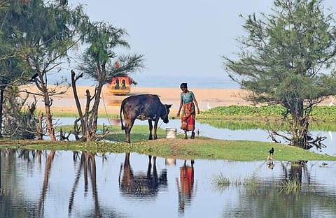 ഫോട്ടോ: ജെ.എസ്. അരവിന്ദ്/ എക്സ്പ്രസ്