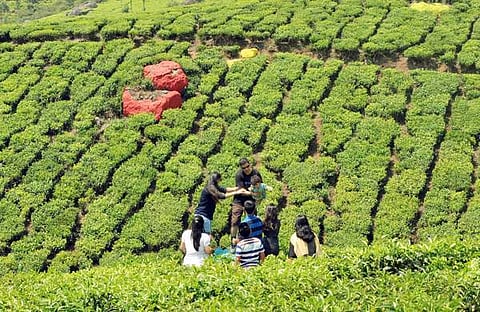 രാജമാണിക്യം റിപ്പോര്ട്ട് അട്ടിമറിക്കുന്നത് ആര്ക്കുവേണ്ടി?