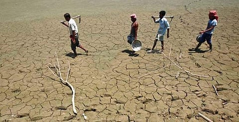 ഡിസംബറിൽ എൽനിനോയ്ക്ക് സാധ്യത; അടുത്തവർഷം ഇടവപ്പാതിയിൽ മഴ കുറയുമെന്ന് കാലാവസ്ഥാ നിരീക്ഷണ കേന്ദ്രം