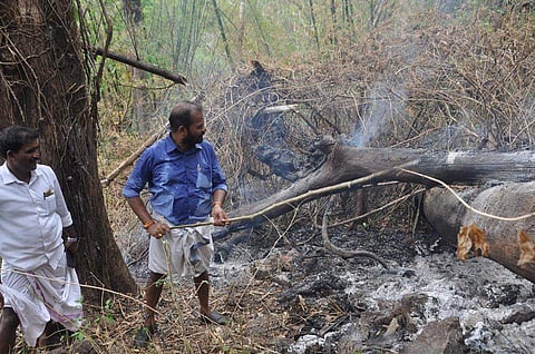 കാട്ടുതീയണയ്ക്കാന് ചുള്ളിക്കമ്പുമായി ബിജെപി നേതാവ്; പരിഹാസവുമായി സോഷ്യല് മീഡിയ