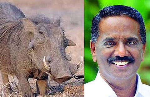 മൃഗങ്ങളെ കറിവച്ച് കഴിച്ചതിന് വനംവകുപ്പ് ഉദ്യോഗസ്ഥര് തല്ലിയാല് തിരിച്ചു തല്ലണം: സിപിഎം എംഎല്എ