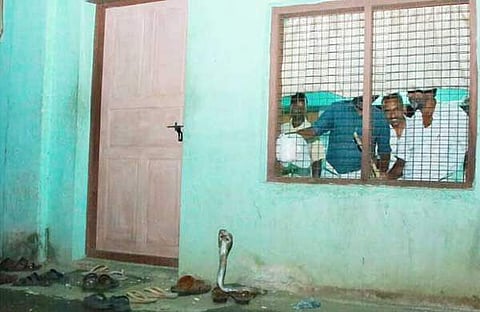 ബിജെപി ഓഫിസിന്റെ വാതിലിനു മുന്നില് നിലയുറപ്പിച്ച് കരിമൂര്ഖന്; ബന്ദികളായി യോഗത്തിനെത്തിയ പ്രവര്ത്തകര്
