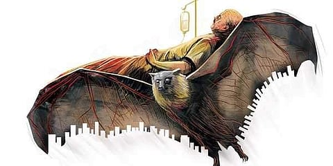 ഗ്രാഫിക്സ്: ന്യൂ ഇന്ത്യന് എക്സ്പ്രസ്