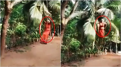ഈ അമ്മാമ ഭീകരിയാണ്, ഊഞ്ഞാലാട്ടം പൊളിയാണ്; സെവാഗിന്റെകണ്ണില്പ്പെട്ടതോടെ വൈറലായി അമ്മാമ