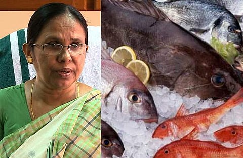 മീനില് മായം കലര്ത്തുന്നവര്ക്കെതിരെ പ്രോസിക്യൂഷന് നടപടി സ്വീകരിക്കുമെന്ന് സര്ക്കാര് ; നിലവാരമുള്ള മല്സ്യം ലഭിക്കാന് നിയമനിര്മാണം നടത്തും