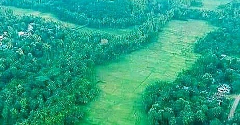 കീഴാറ്റൂര് ബൈപ്പാസ് : നടപടികള് നിര്ത്തിവെക്കാന് കേന്ദ്രനിര്ദേശം ; വയല്ക്കിളികളെ ഡല്ഹിയ്ക്ക് വിളിപ്പിച്ചു