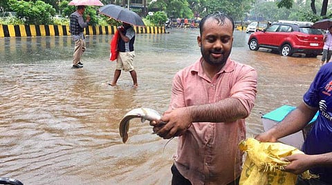 പുഴയില് വലിയ മീനുകളുടെ ചാകര, ആശങ്ക തീര്ത്ത് പിരാന; കടലില് മത്സ്യോല്പാദനം വര്ധിക്കും