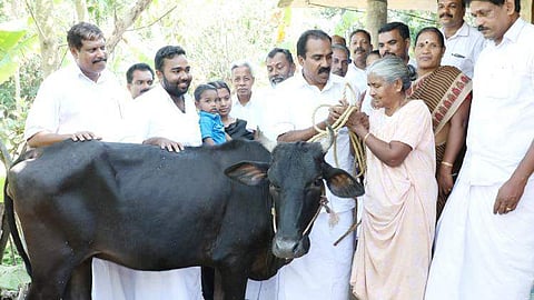 'മോനേ' എന്ന വിളിക്ക് ഫലമുണ്ടായി; സര്വവും നഷ്ടപ്പെട്ട മേരിക്ക് രാഹുല് നല്കിയ ഉറപ്പ് പാലിച്ചു, രണ്ടു വയസുളള മുന്തിയ ഇനം പശുവിനെ കൈമാറി