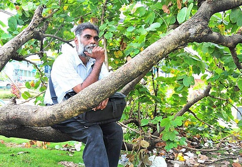 മരം മുറിക്കുന്നെങ്കില് തന്റെ തലയിലൂടെ മുറിച്ചിടട്ടെ; കളക്ടറോട് പോയി പരാതി പറയെന്ന് അധികൃതര്; അവസാനം സംഭവിച്ചത് ഇങ്ങനെ
