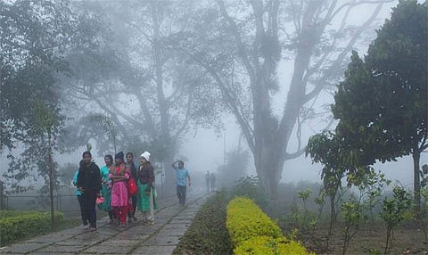 തണുപ്പ് നാലു ദിനം കൂടി തുടരും ; വരള്ച്ചയുമായി ബന്ധമില്ല