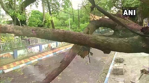 നാശംവിതച്ച് ബുള്ബുള്; മരണം ഏഴായി, ബാധിച്ചത് മൂന്നുലക്ഷത്തോളം പേരെ; 12 മണിക്കൂറിനുളളില് ദുര്ബലപ്പെടുമെന്ന് പ്രവചനം (വീഡിയോ)