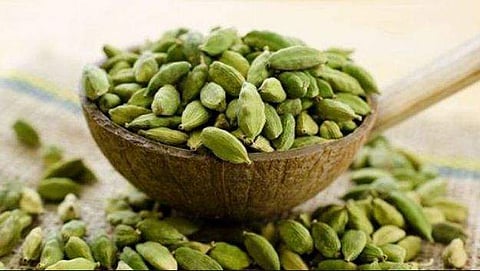 ചരിത്ര കുതിപ്പില് ഏലയ്ക്ക വില ; കിലോയ്ക്ക് 6000 രൂപ, റെക്കോഡ്