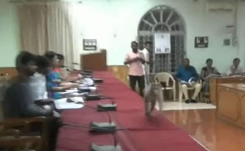 മന്ത്രി വിളിച്ച യോഗത്തിലേക്ക് ഓടിക്കയറി കുരങ്ങൻ; പരിഭ്രാന്തി; വീഡിയോ വൈറൽ