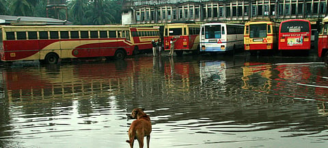 ഫയല് ചിത്രം