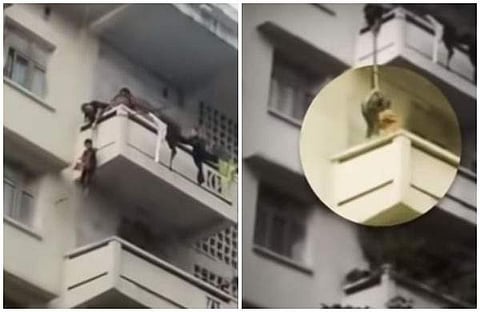 പൂച്ചയെ രക്ഷിക്കാന് അഞ്ചാം നിലയില് നിന്ന് ചെറുമകനെ താഴേക്ക് കെട്ടിയിറക്കി മുത്തശ്ശി (വീഡിയോ)
