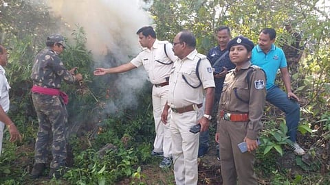 കഞ്ചാവ് വേട്ടയ്ക്ക് ഐഎസ്ആര്ഒയും; പിടിച്ചെടുത്തത് ആയിരം ക്വിന്റല്, മാഫിയകളെ തുരത്തി ഒഡീഷ പൊലീസ്
