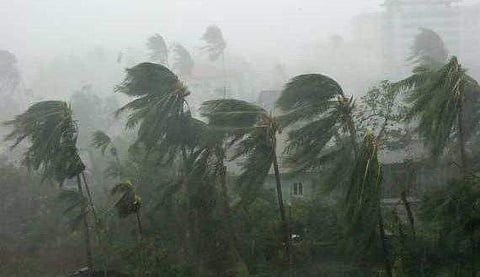 കോട്ടയത്ത് ശക്തമായ കാറ്റ്; മരങ്ങള് കടപുഴകി കാറുകള്ക്ക് മുകളില് വീണു; ഗതാഗതം തടസപ്പെട്ടു