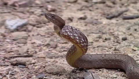 പ്രതീകാത്മക ചിത്രം