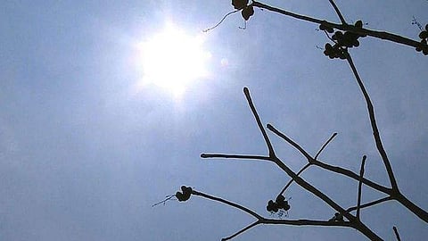 പ്രതീകാത്മക ചിത്രം