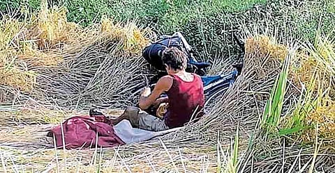 കേരളം കണ്ട് പാടത്ത് കിടന്നുറങ്ങി; വിദേശി വയലില് തളര്ന്ന് വീണെന്ന് പ്രചാരണം; ഫ്രഞ്ച് യുവാവ് ഐസലേഷനില്