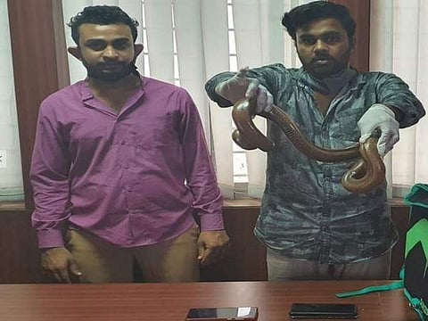 ലോക്ക്ഡൗണിനിടെ ഡെലിവറി ബോയ്സ് ചമഞ്ഞ് ഇരുതലമൂരി കടത്ത്; രണ്ടു പേര് പിടിയില്