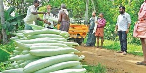 കിസാന് ക്രെഡിറ്റ് കാര്ഡില്ലാത്തവരുടെ വായ്പാ തിരിച്ചടവിന് സാവകാശം നല്കണം, ആഗസ്റ്റ് 31 വരെ നീട്ടണമെന്ന് കേന്ദ്രത്തോട് സംസ്ഥാനം