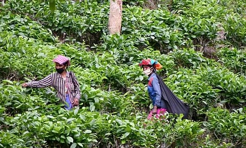അവരാണ് മാതൃക, രാജ്യം അവരെക്കണ്ടു പഠിക്കണം; കോവിഡ് പ്രതിരോധത്തില് വടക്കു കിഴക്കന് സംസ്ഥാനങ്ങളെ പുകഴ്ത്തി കേന്ദ്രമന്ത്രി