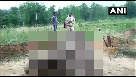 ചത്തീസ്ഗഢിൽ ഒറ്റ ദിവസം ചരിഞ്ഞത് രണ്ട് കാട്ടാനകൾ; ഈ ആഴ്ച ഇത് അഞ്ചാമത്തേത്; രണ്ട് പേർ അറസ്റ്റിൽ