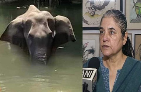 'മലപ്പുറം അക്രമികളുടെ ജില്ല'; പാലക്കാട് ആന ചരിഞ്ഞതില് മലപ്പുറത്തിനെതിരെ ആരോപണവുമായി മേനകാ ഗാന്ധി