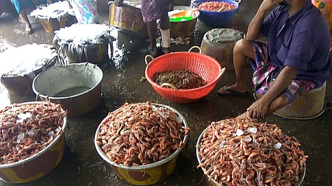 നീണ്ടകര മത്സ്യബന്ധന തുറമുഖം അടച്ചു
