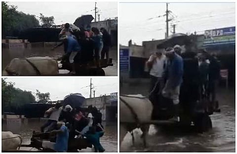 കാളവണ്ടിയില് കയറി യാത്ര; വെള്ളക്കെട്ടിലേക്ക് തെറിച്ചുവീണ് യാത്രക്കാര് (വീഡിയോ)
