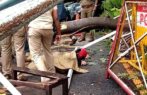 മരം വീണുണ്ടായ അപകടത്തിന്റെ ദൃശ്യം/ട്വിറ്റര്
