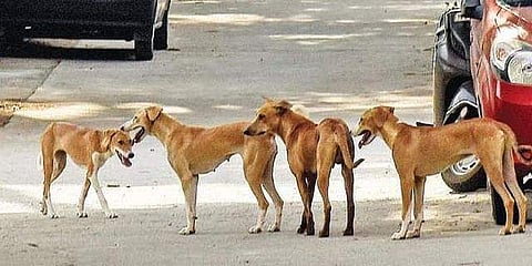 പ്രതീകാത്മക ചിത്രം
