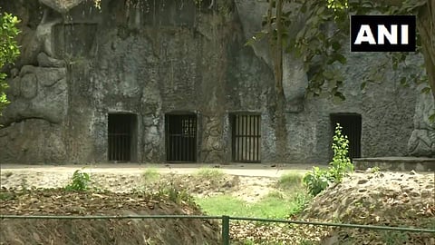 കൊല്ക്കത്ത മൃഗശാല/ എഎന്ഐ