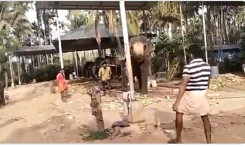 വിഡിയോദൃശ്യം