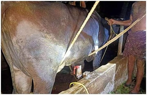 ചിത്രം: മൂവാറ്റുപുഴ ഫയര്ഫോഴ്സ്