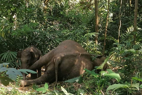 ഫയല് ചിത്രം
