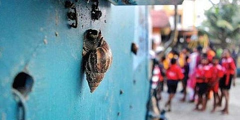 ഫയല് ചിത്രം